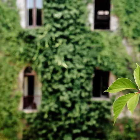 Palazzo Mazziotti Acomodação com café da manhã Celso Exterior foto
