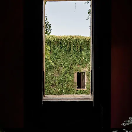 Palazzo Mazziotti Acomodação com café da manhã Celso Exterior foto